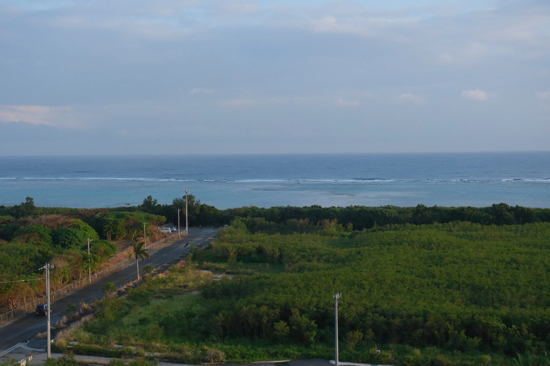 緑の広がる海辺の風景